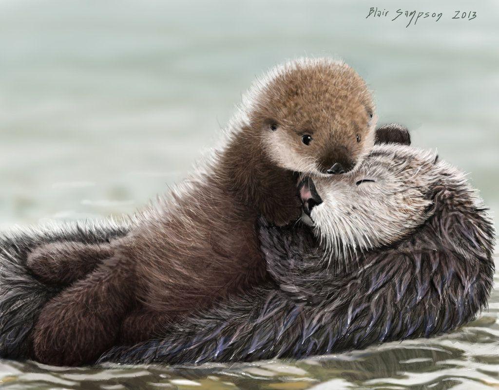 1024x801 Sea Otter Wallpaper