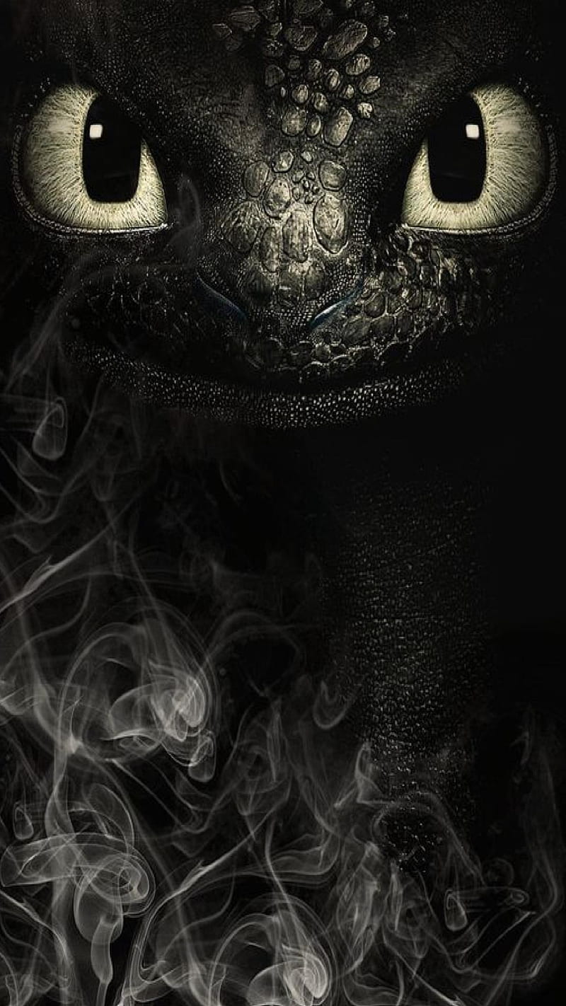 800x1422 Toothless, iuui, HD phone wallpaper
