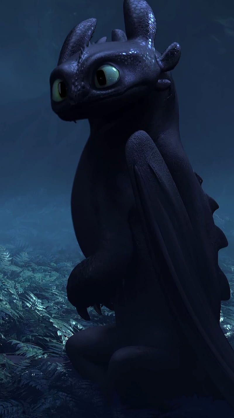 800x1427 HTTYD 3 Toothless, httyd HD phone wallpaper