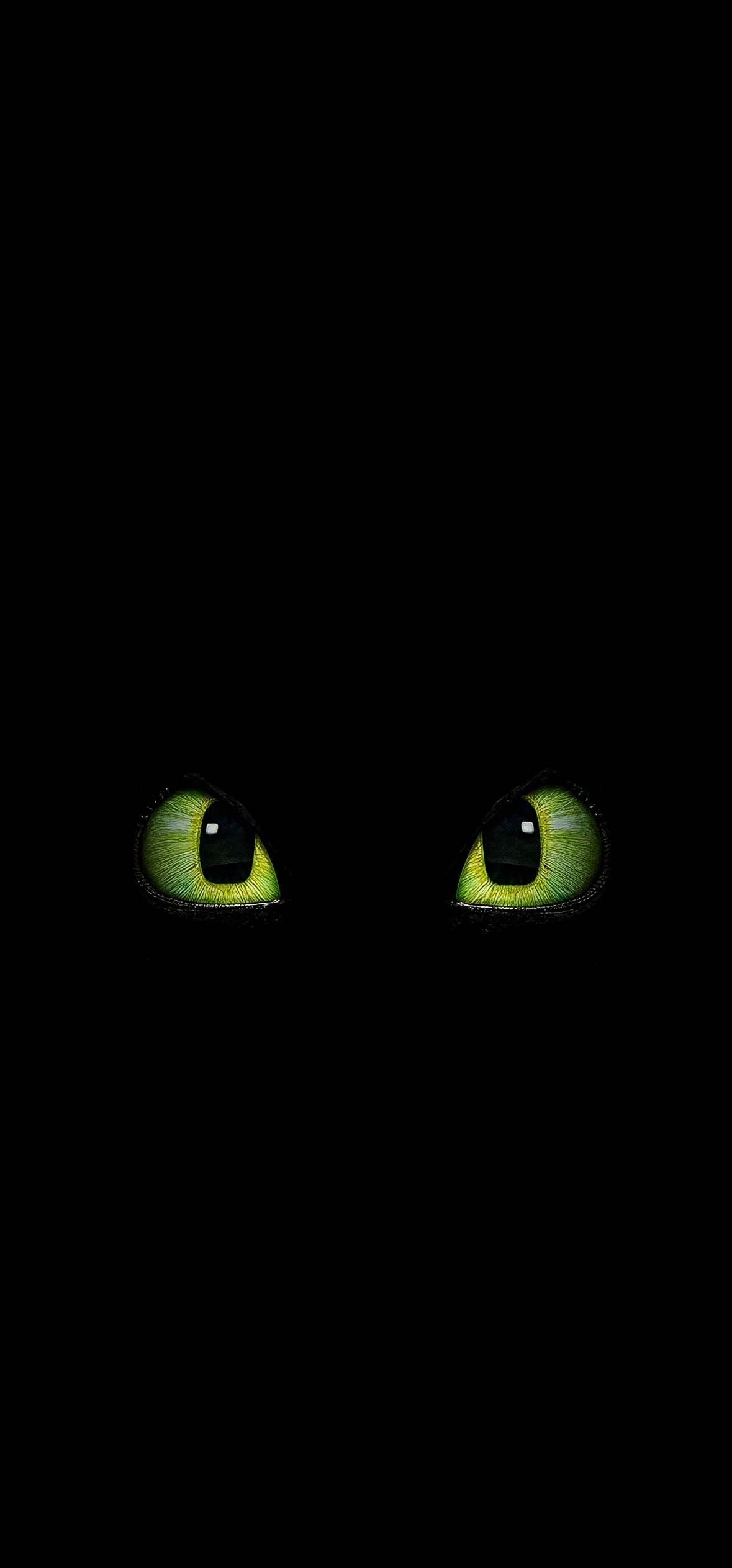 1179x2526 How to Train Your Dragon Wallpaper 4k iPhone