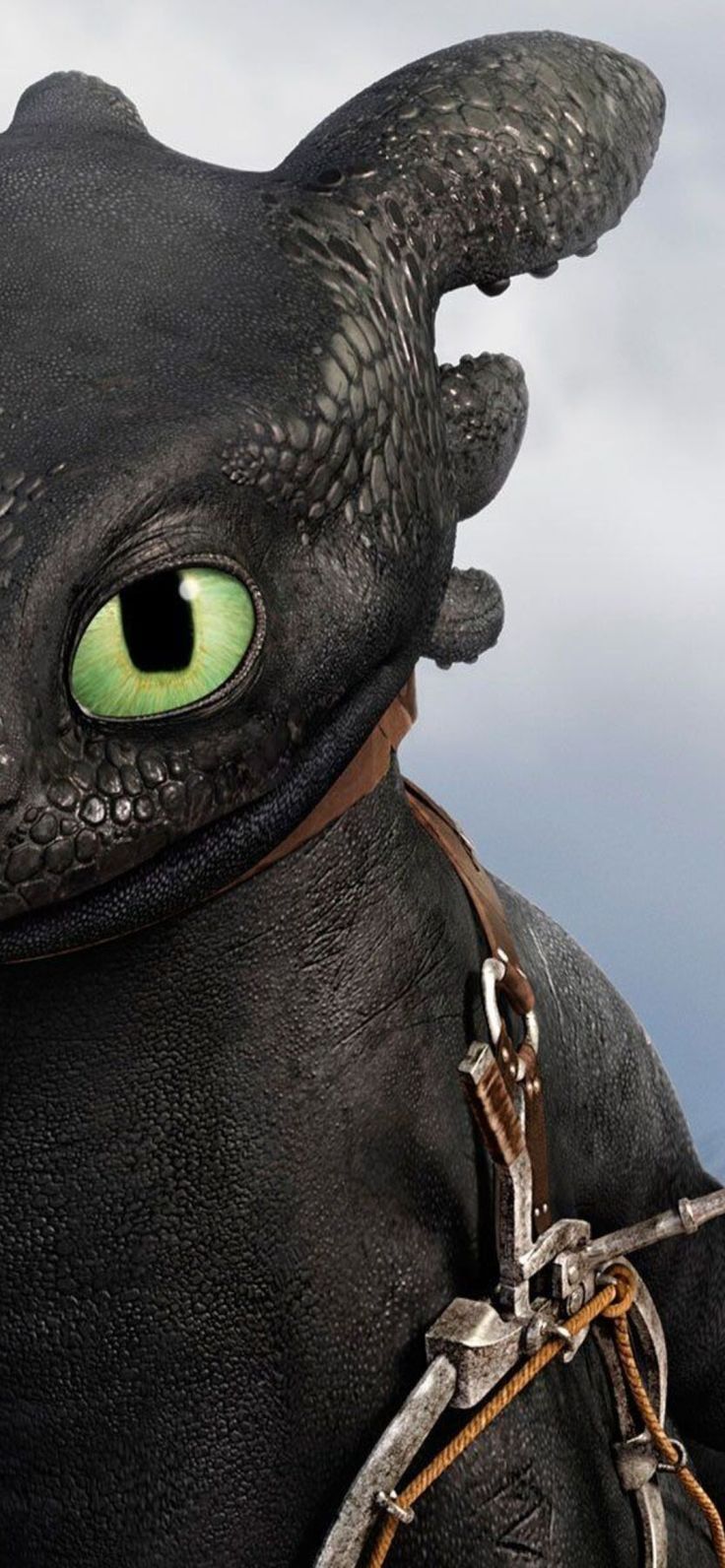 736x1592 Tooth Less Cute Dragon 4K Wallpaper