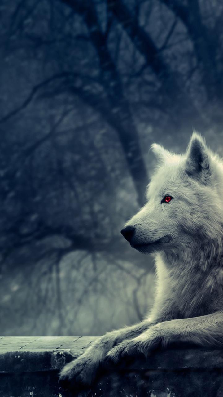 720x1280 Dire Wolf Android Wallpaper