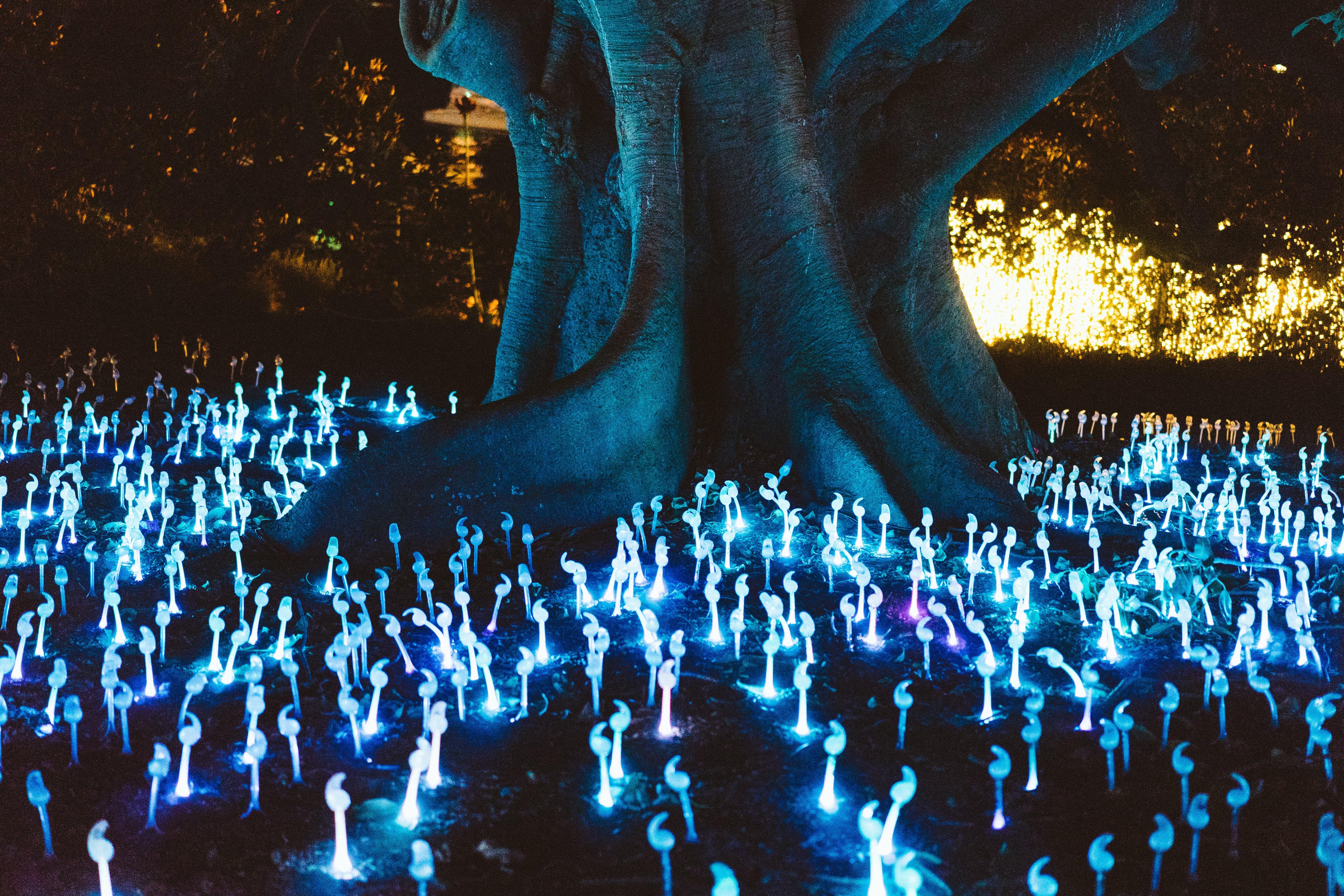 5400x3600 Glowing, 4K, Neon spirits, Spiritual, Trunk, HD Wallpaper