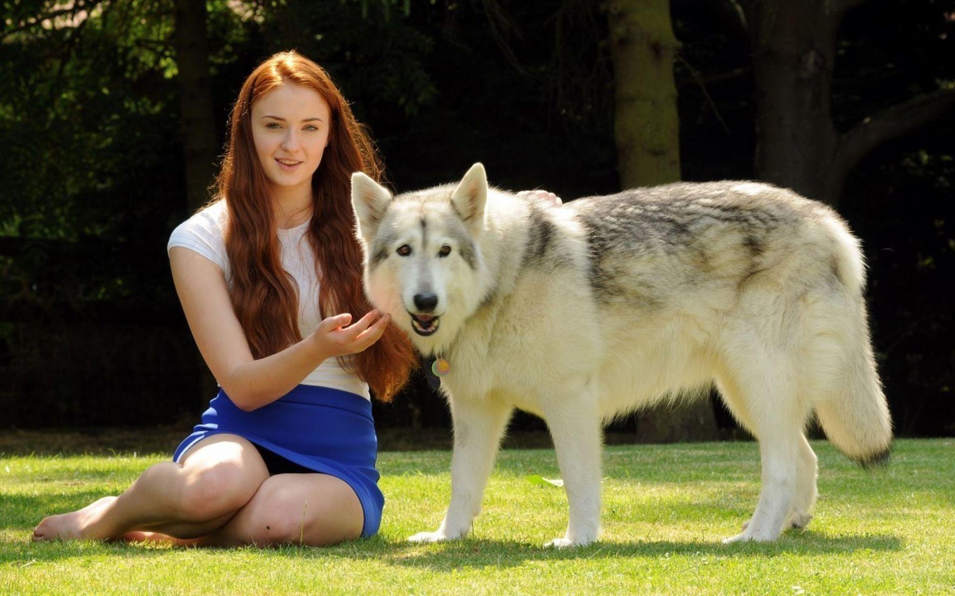 1920x1200 Sophie Turner Direwolf Wolves Wallpaper Of Thrones