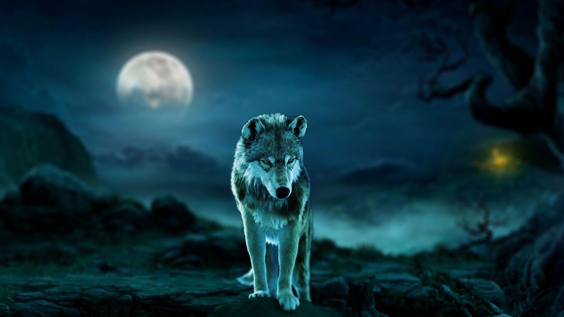 Dire Wolf Wallpapers - Top Free Dire Wolf Backgrounds - WallpaperAccess