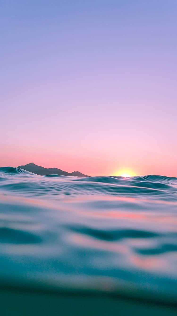 750x1334 Tropical Summer iPhone and Android Wallpaper. iPhone wallpaper