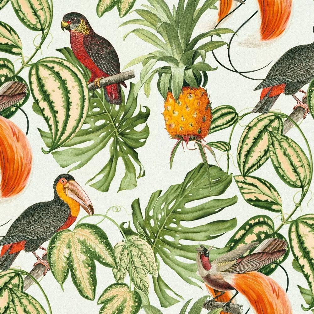 tropical bird mural wallpaper  TenStickers