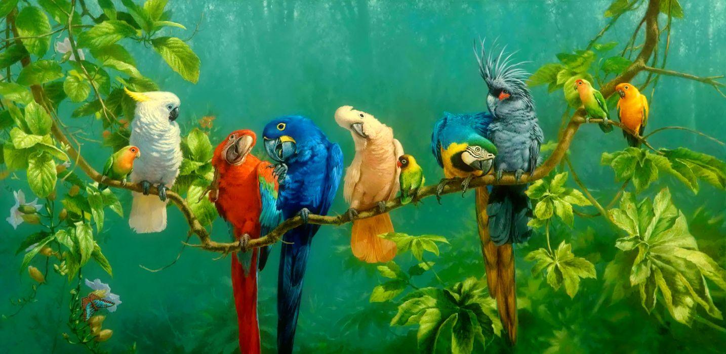 Tropical Bird Desktop Wallpaper