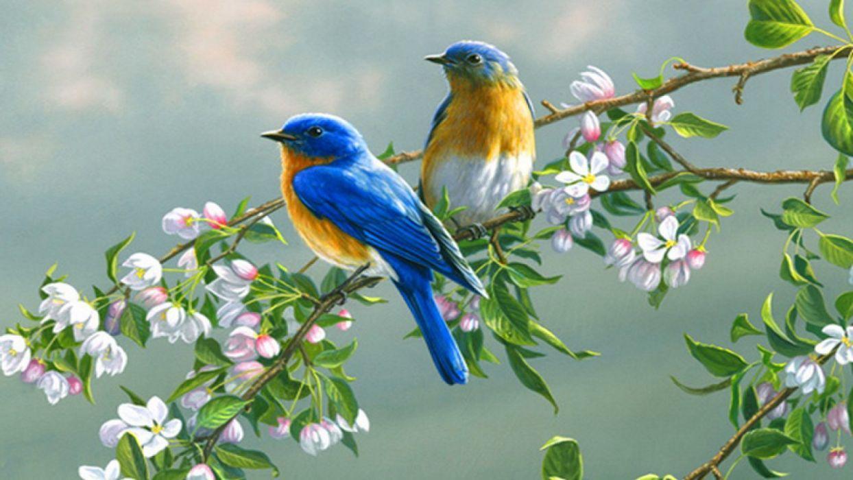 1244x700 Tropical Birds Wallpaper