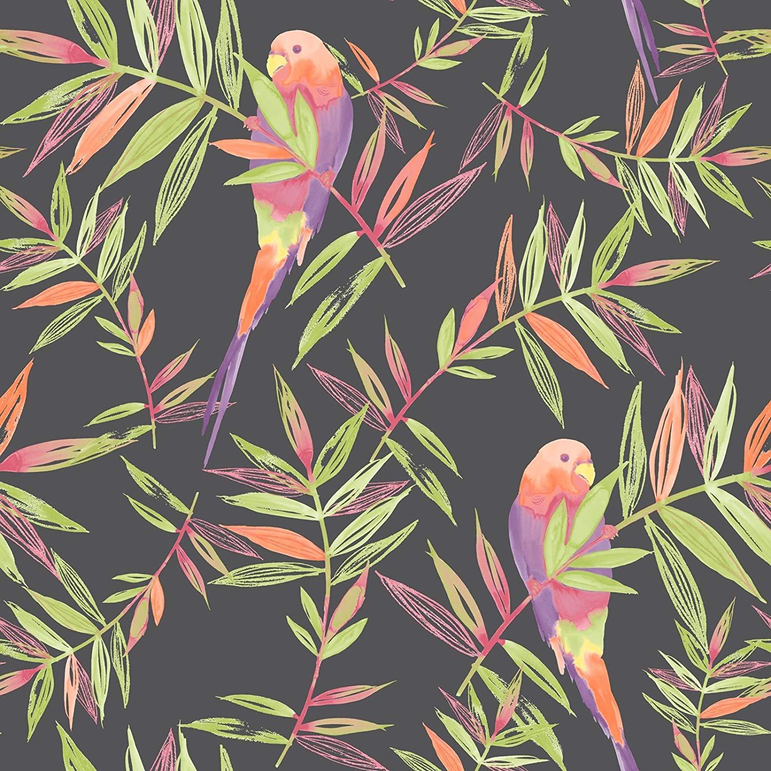 1500x1500 New Rasch Tropical Parrots Multi Coloured Leaf Wallpaper 209211: Amazon.co.uk: Kitchen & Home