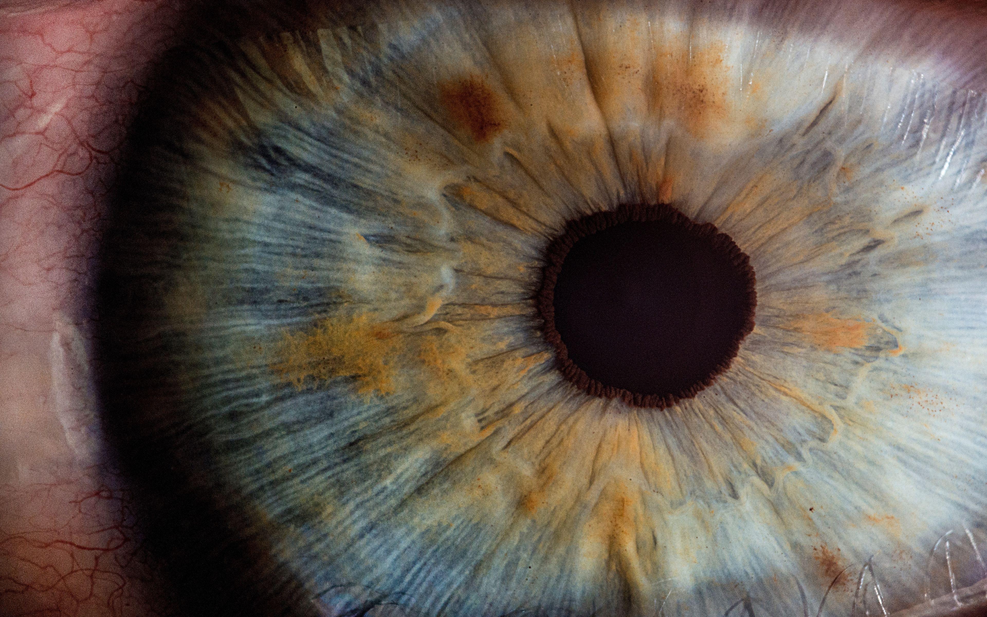 3840x2400 Download Wallpaper 3840x2400 Eye, Pupil, Close Up 4k Ultra HD 16