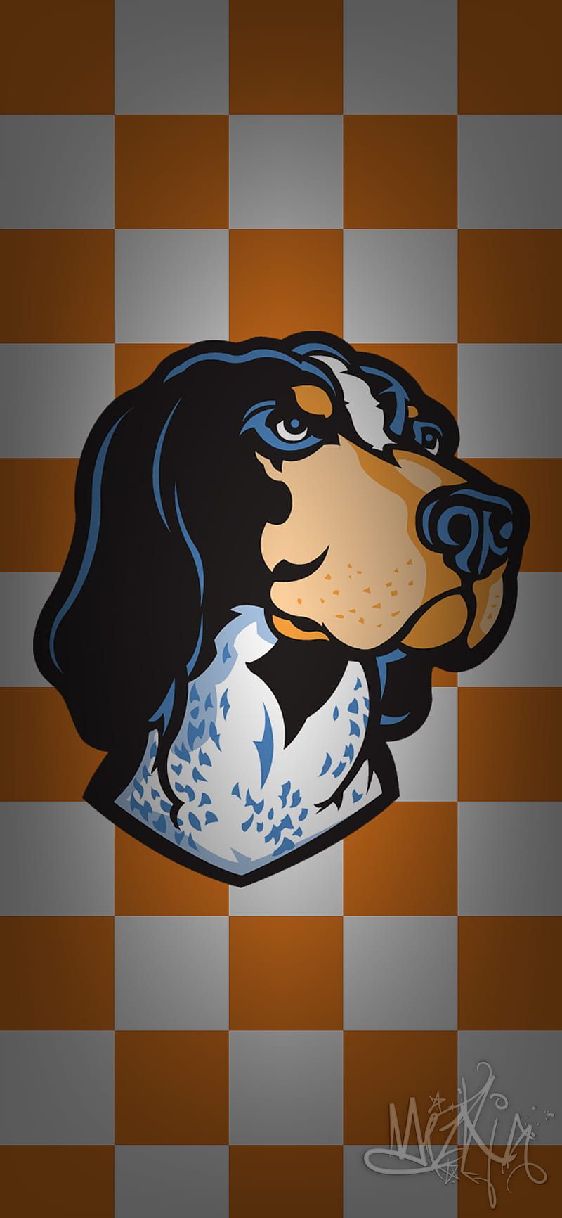 800x1732 Tennessee Volunteers, knoxville, orange, smokey, white, HD phone wallpaper
