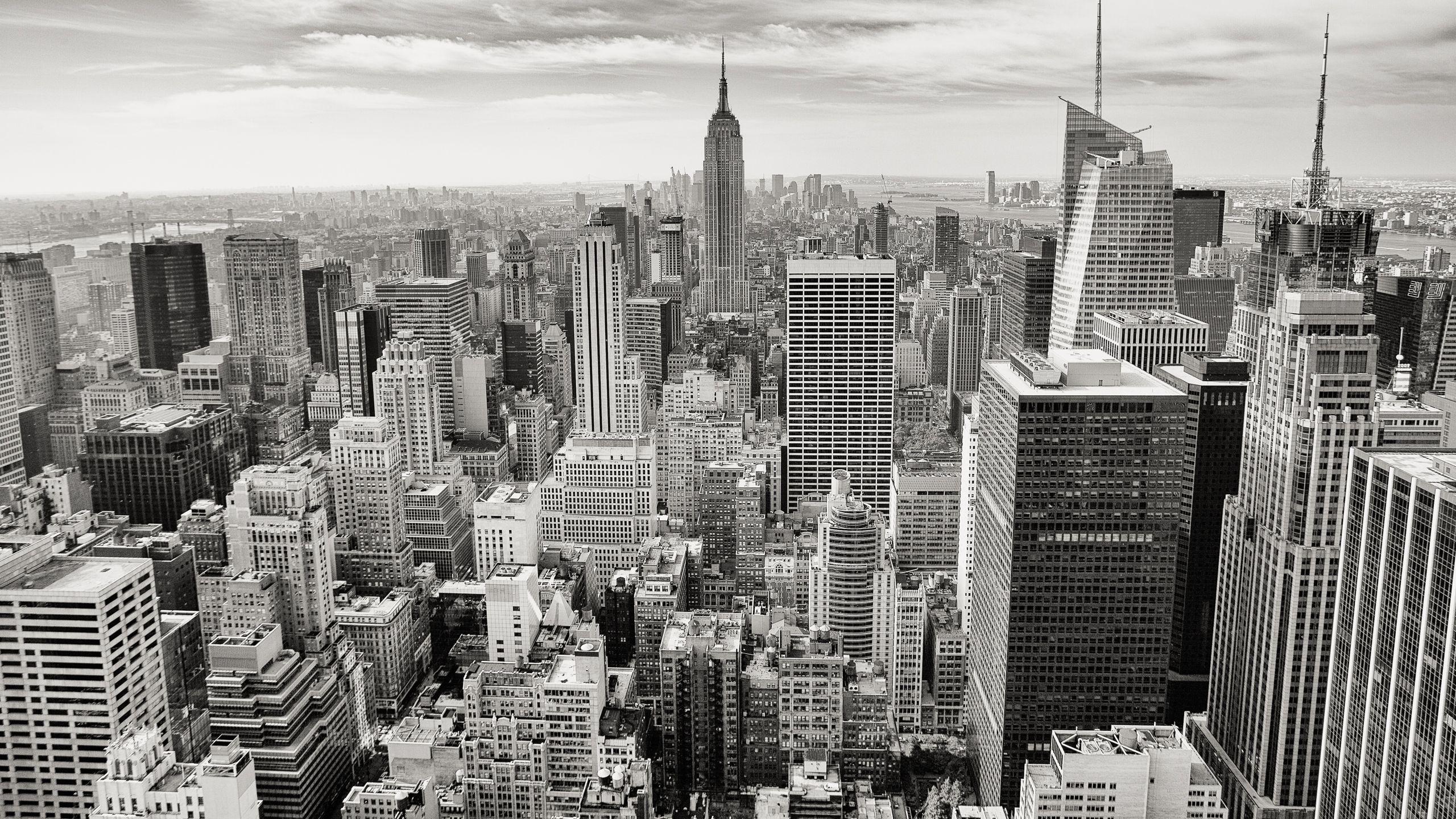 2560x1440 Monotone Picture. Download Free .com