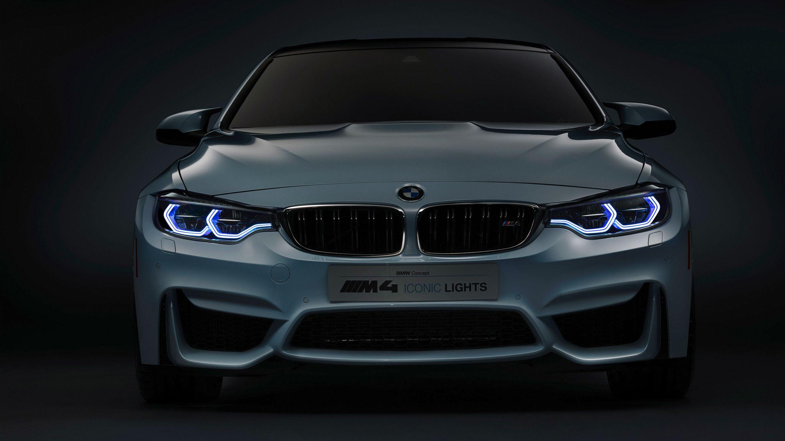 2560x1440 BMW Logo Wallpaper