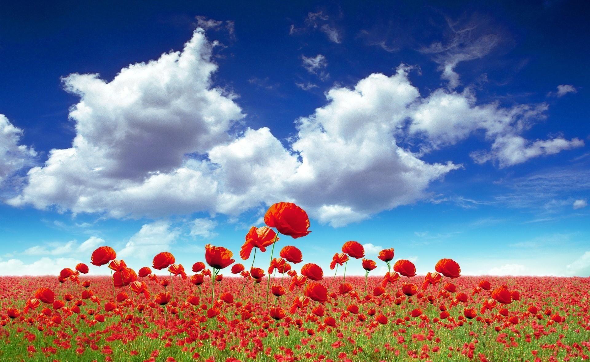 1920x1180 Sky Wallpaper HD. HD Wallpaper. Cloud lights