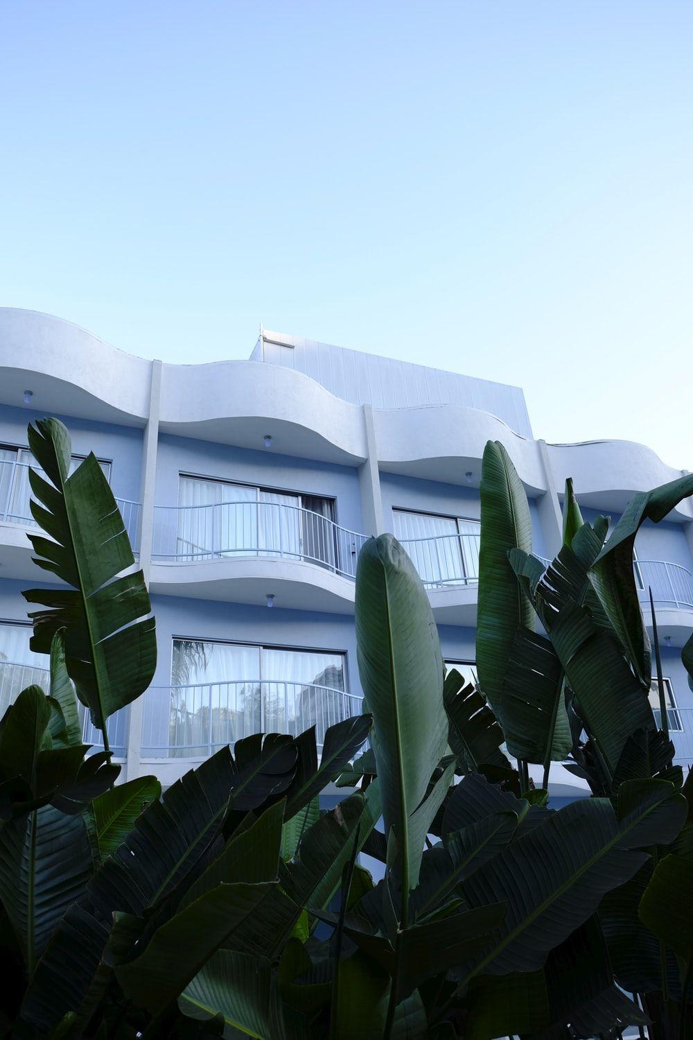 1000x1500 Sunset Boulevard Picture. Download Free Image