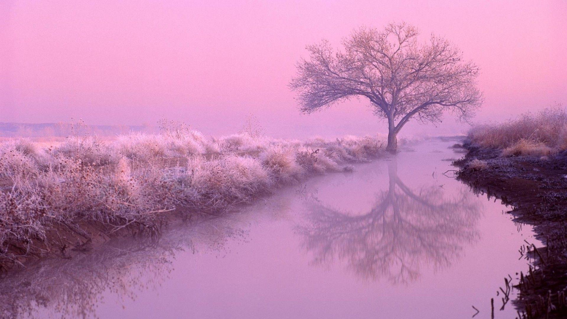 1920x1080 Aesthetic Background, HD Wallpaper & background Download