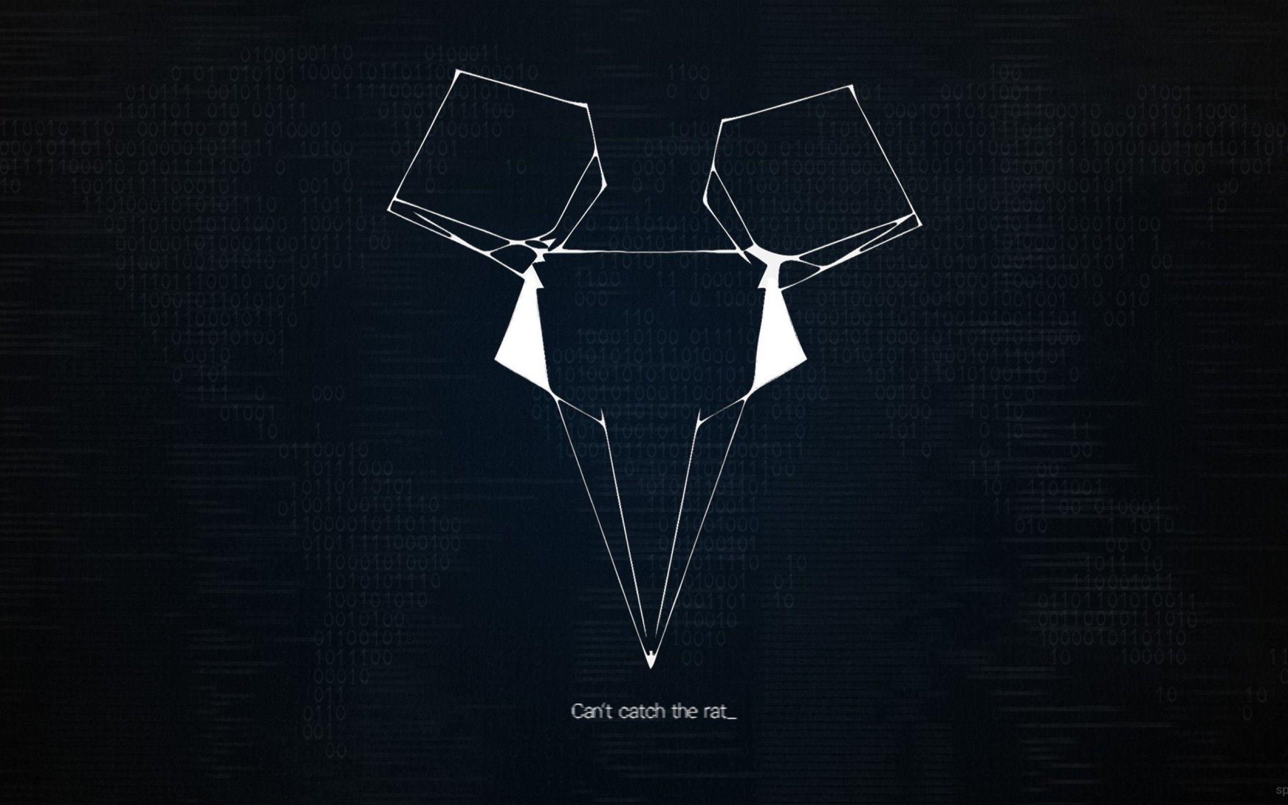 2560x1600 Download 2560x1600 Watch Dogs, Can't Catch The Rat, Hacking