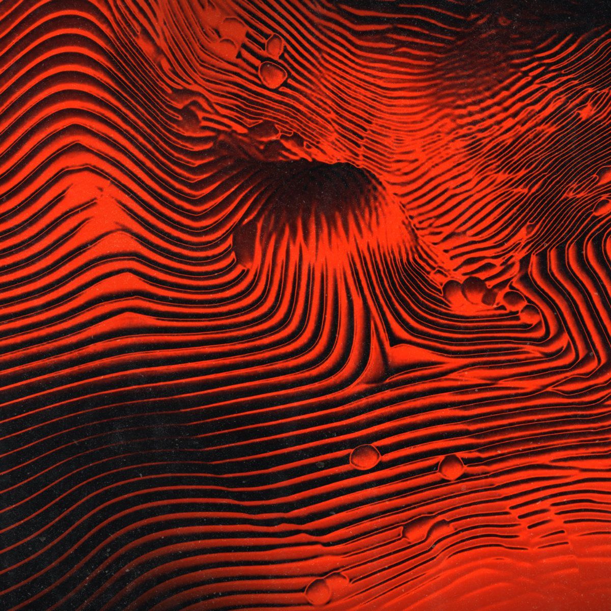1200x1200 ZUKUNFT