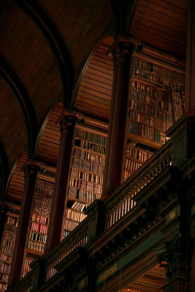 740x1109 Ancient Library Image