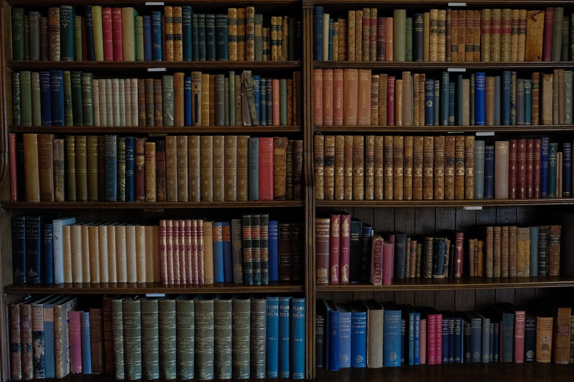 1125x750 Old Books in a Library · Free