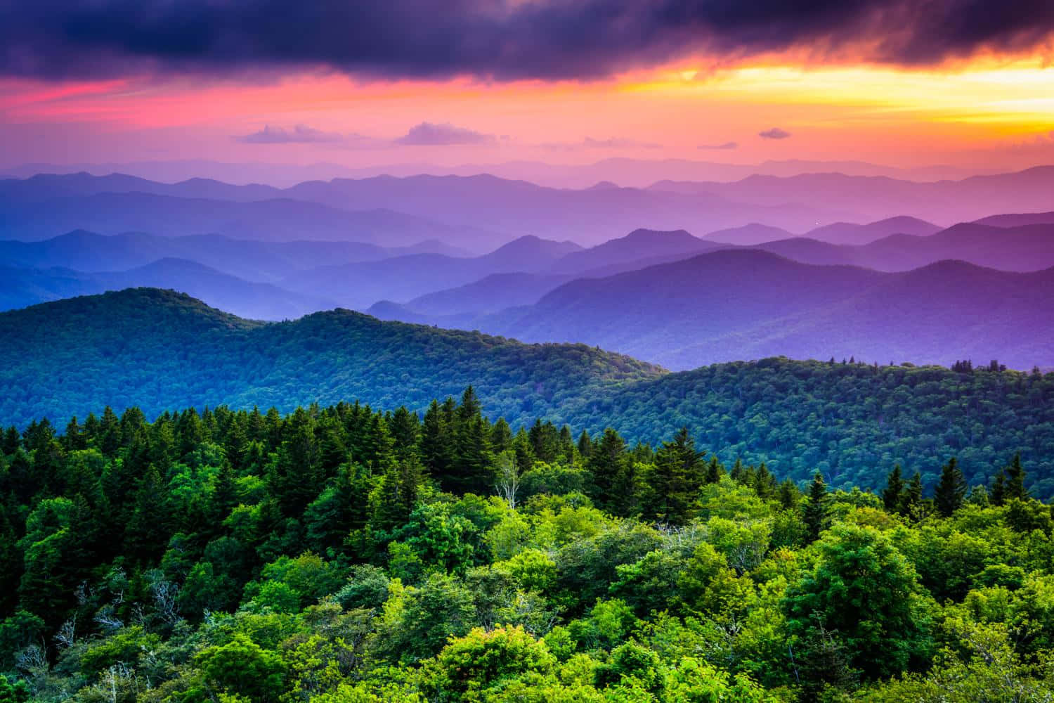 1500x1000 Download The Majestic Blue Ridge Mountains Wallpaper