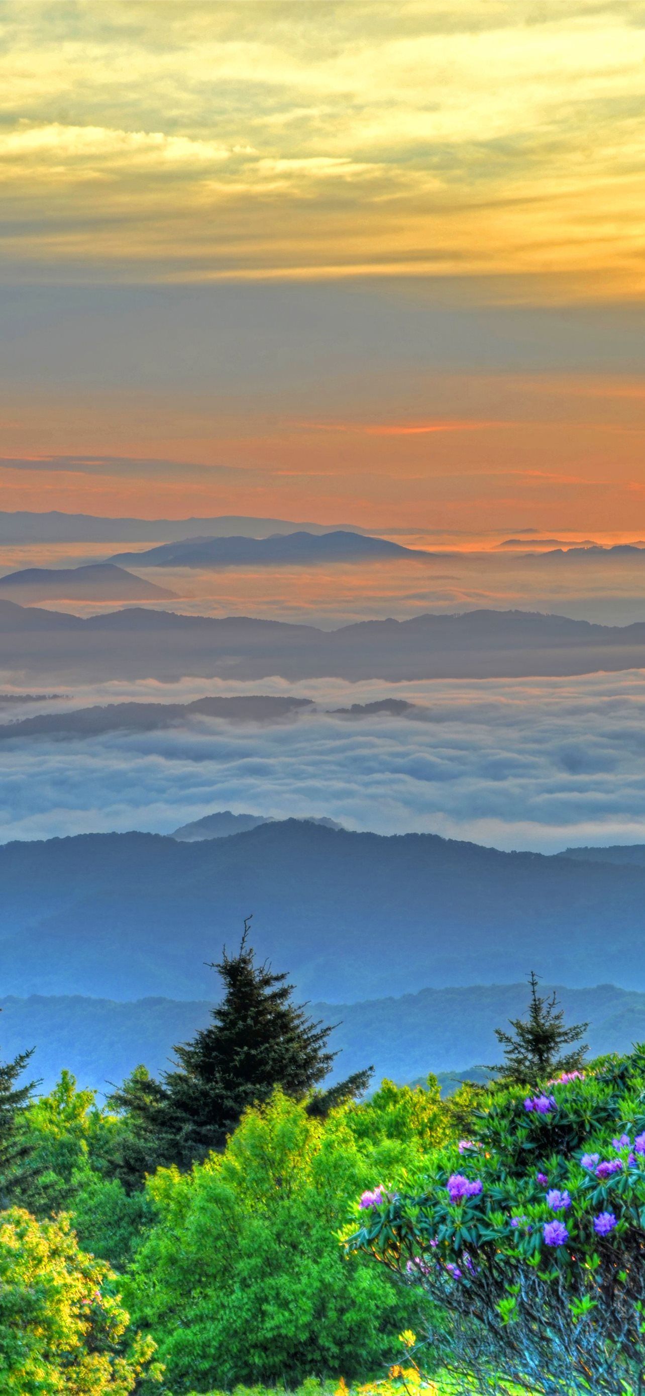 1284x2778 Best Blue ridge parkway iPhone HD Wallpaper