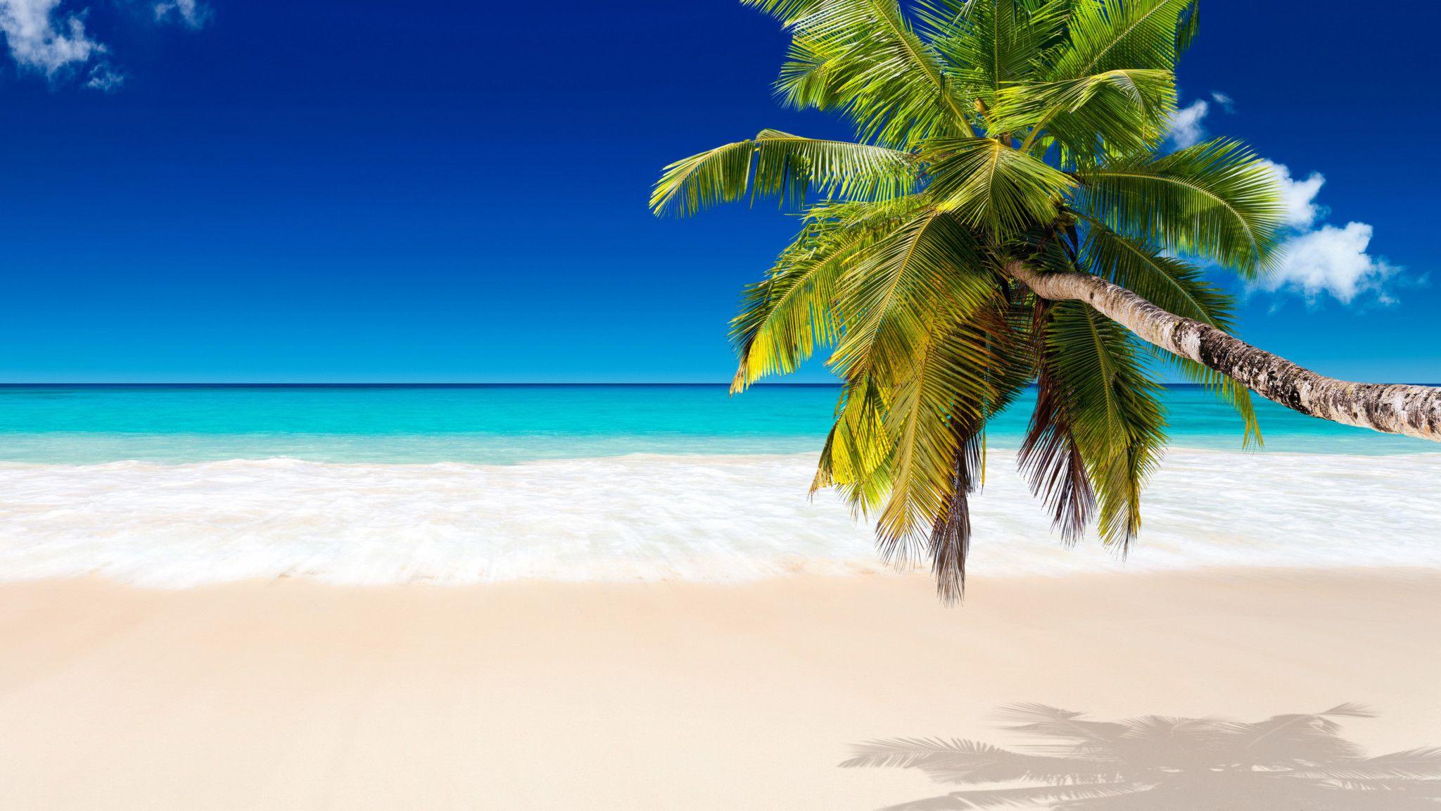 Sand Beach Wallpapers - Top Free Sand Beach Backgrounds - WallpaperAccess