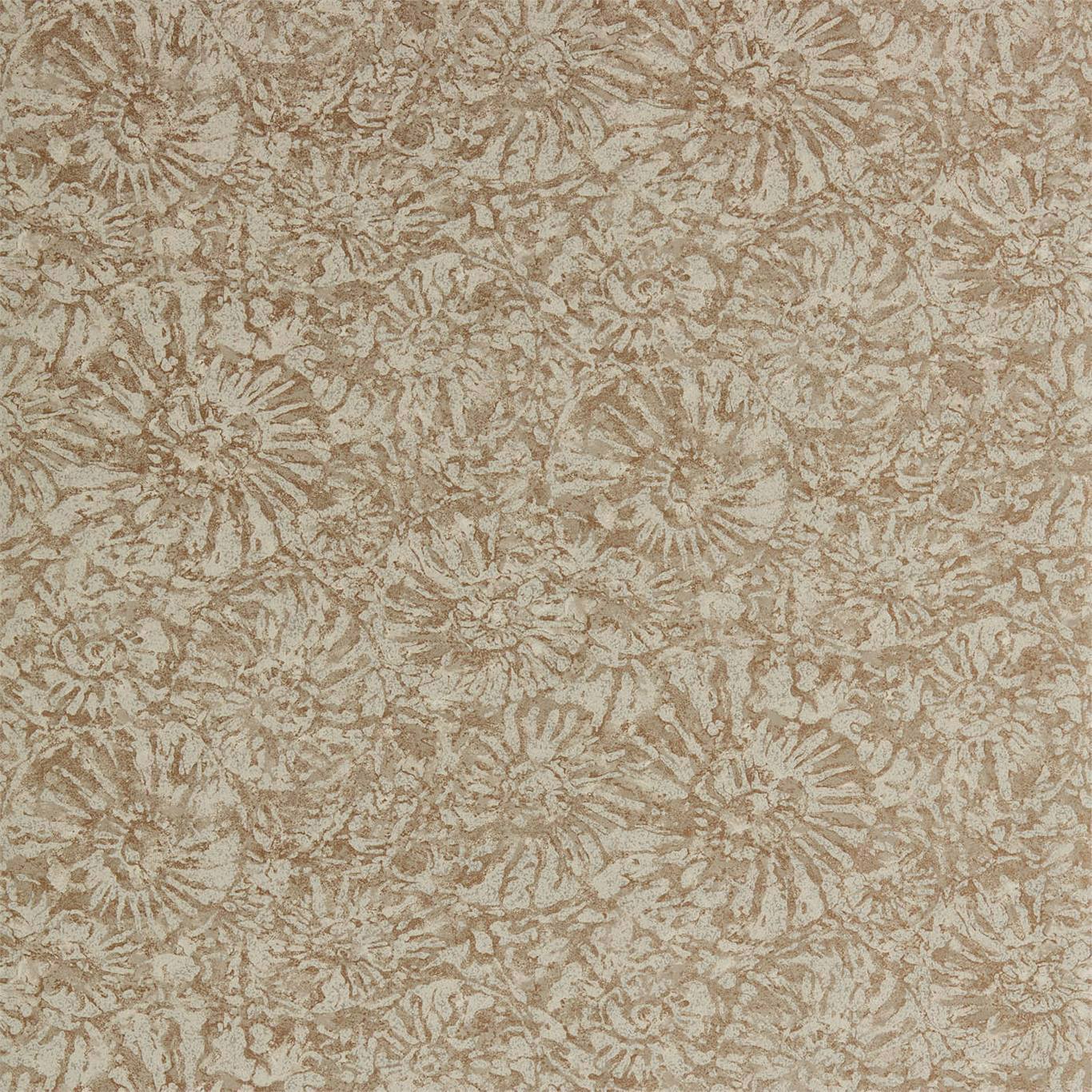 1366x1366 Anthology Ammonite Wallpaper