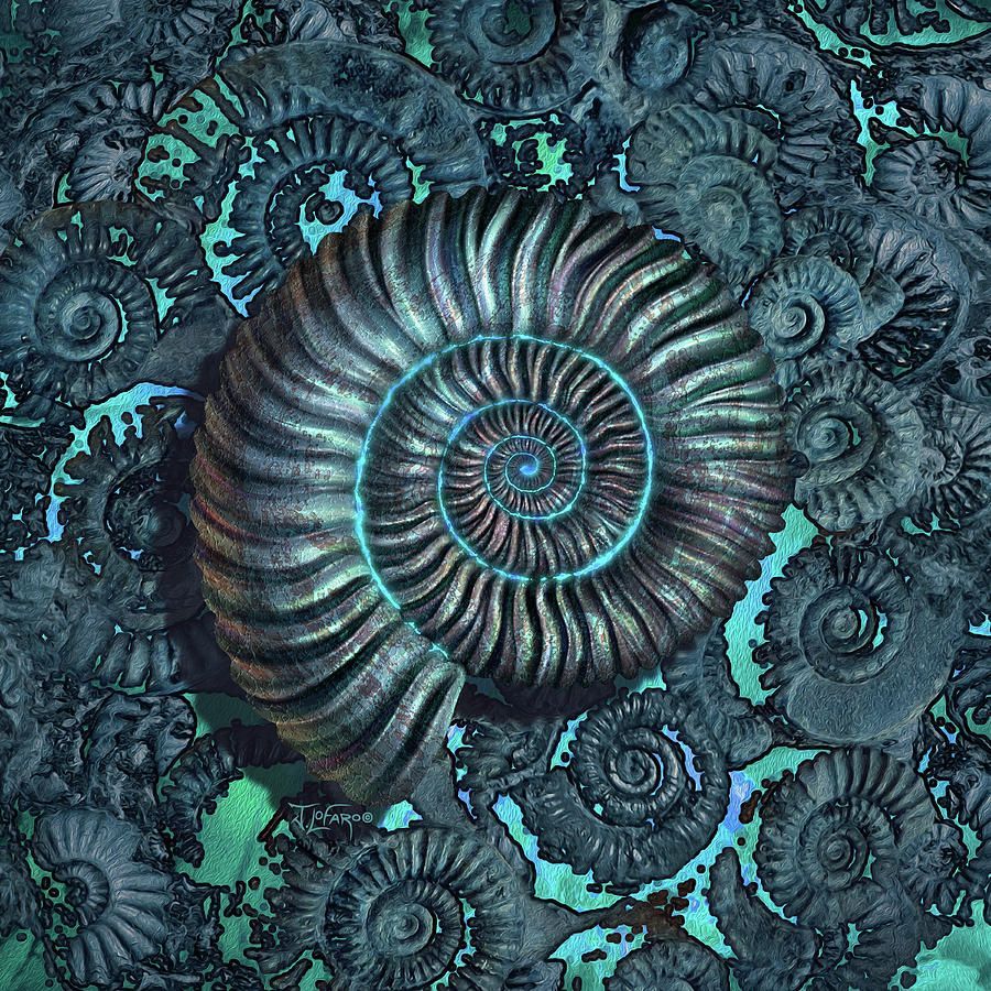 900x900 