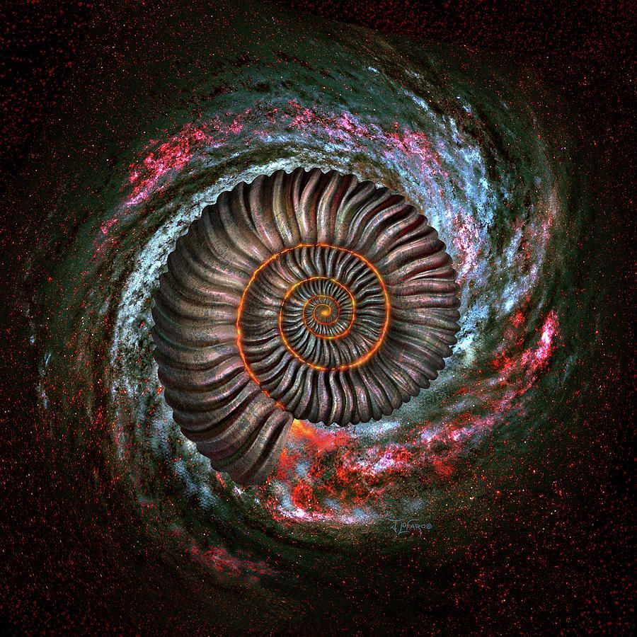 900x900 
