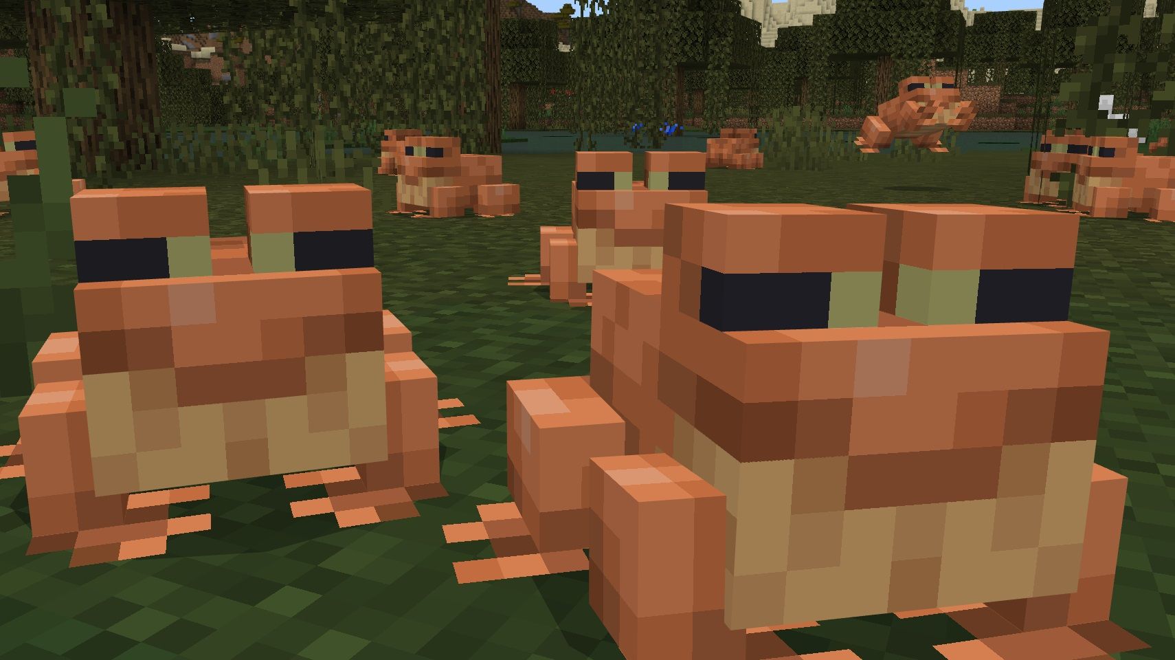 1710x960 Minecraft frogs: all about these silly mobs