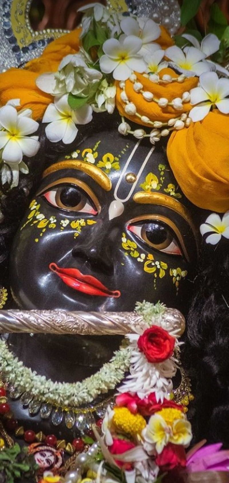 800x1689 Thakur ji, day, lord, HD phone wallpaper