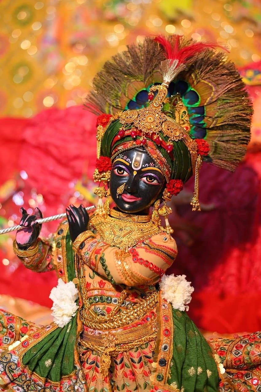 850x1275 Shri Krishna Bhagwan ji HD phone wallpaper