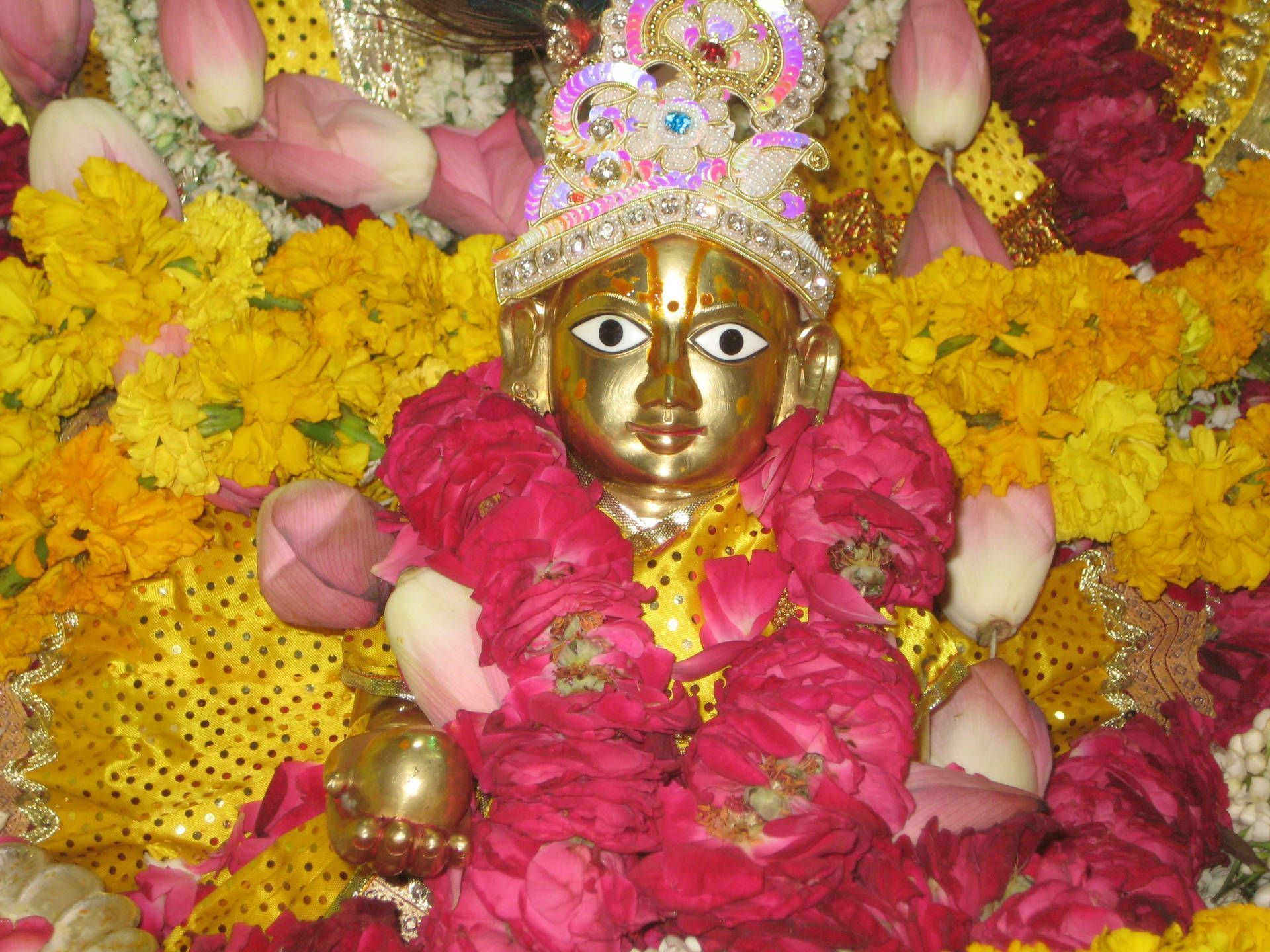 1920x1440 Download Floral Laddu Gopal Wallpaper