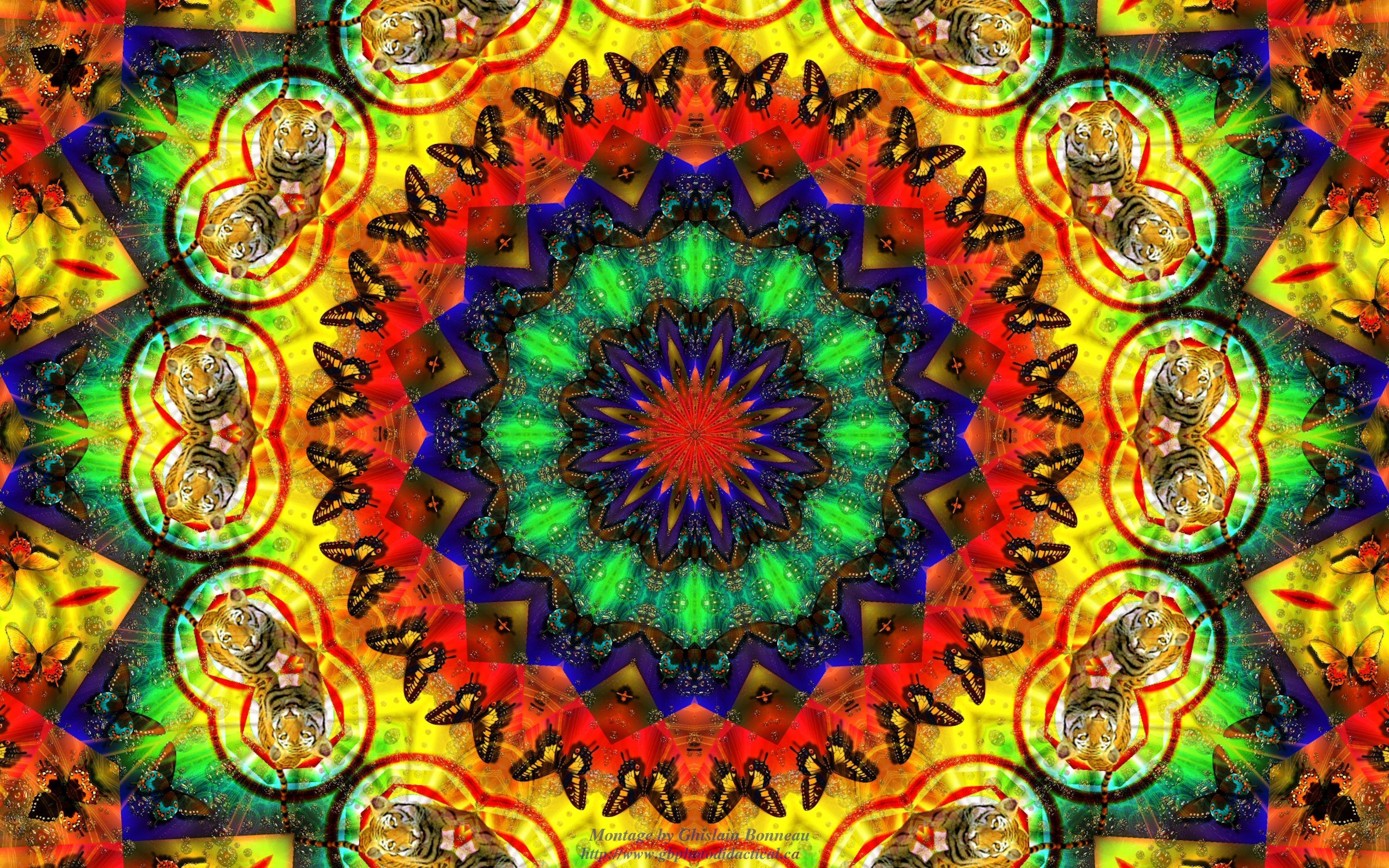 4000x2500 Gallery for psychadelic wallpaper