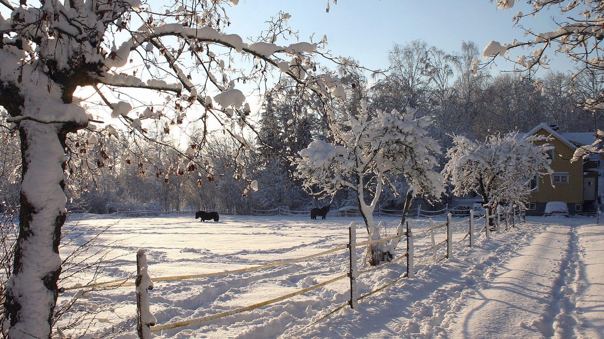 1920x1080 Farm Winter Scenes Desktop Wallpaper