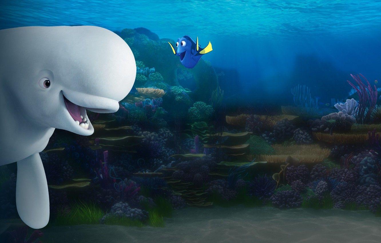 1332x850 Wallpaper cinema, movie, animal, friendship, fish, film, whale, Dory, Finding Dory, beluga whale image for desktop, section фильмы