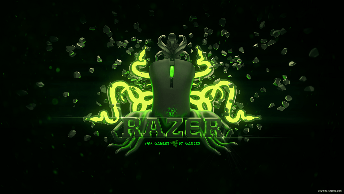 RAZER GAMING computer game (11) wallpaper, 1920x1080, 400624