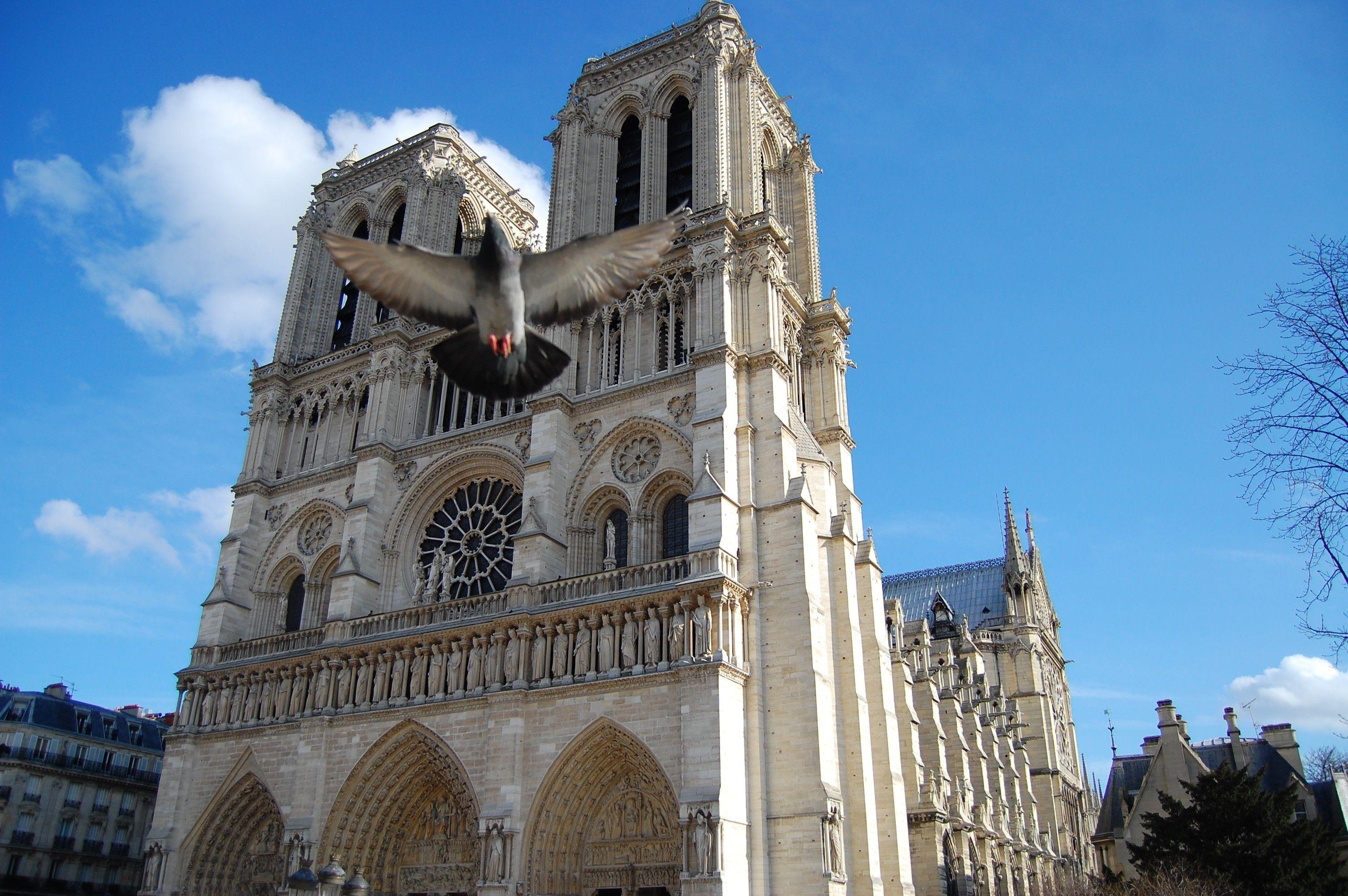 Noterdam paris. Франция нотердам де пари.