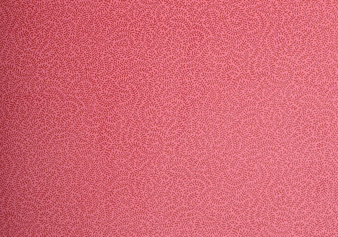 Coral Pink Wallpapers - Top Free Coral Pink Backgrounds - WallpaperAccess