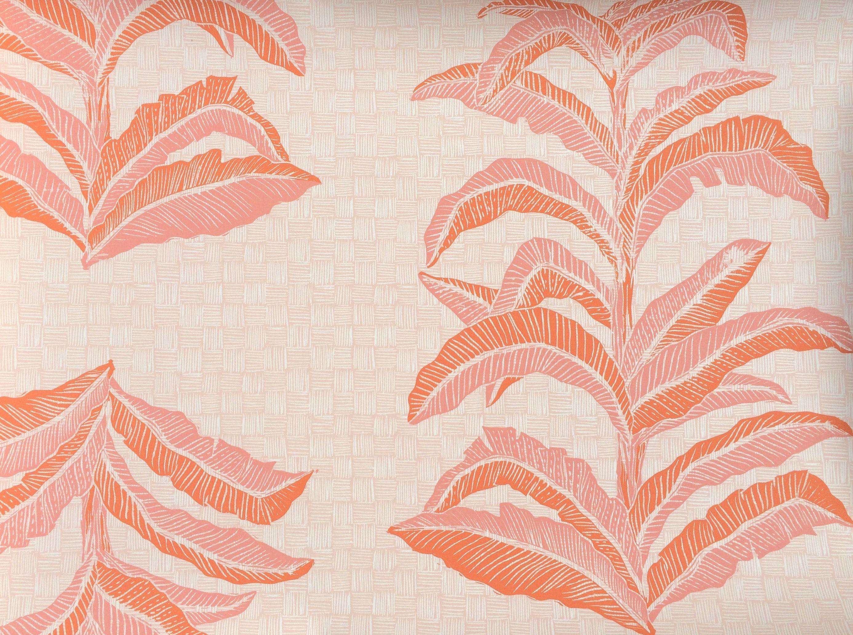 Coral Pink Wallpapers Top Free Coral Pink Backgrounds WallpaperAccess