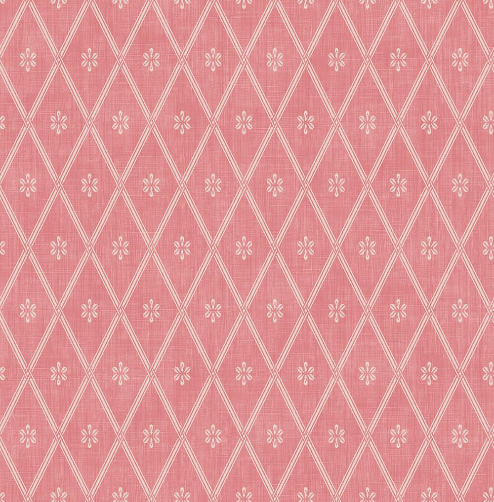 Coral Pink Wallpapers Top Free Coral Pink Backgrounds WallpaperAccess