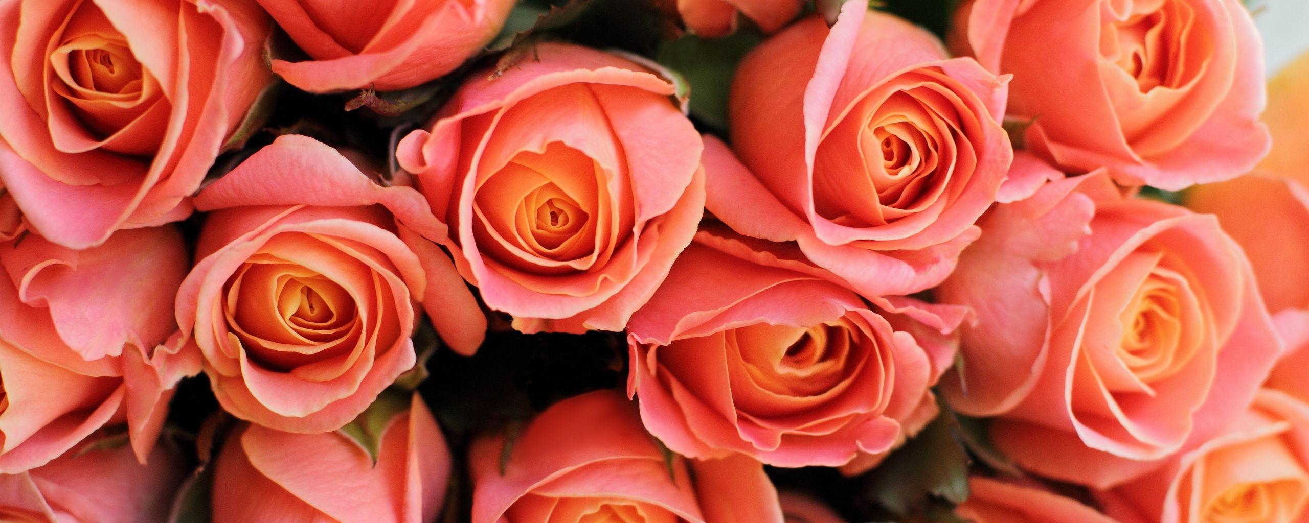 Coral Pink Wallpapers - Top Free Coral Pink Backgrounds - WallpaperAccess