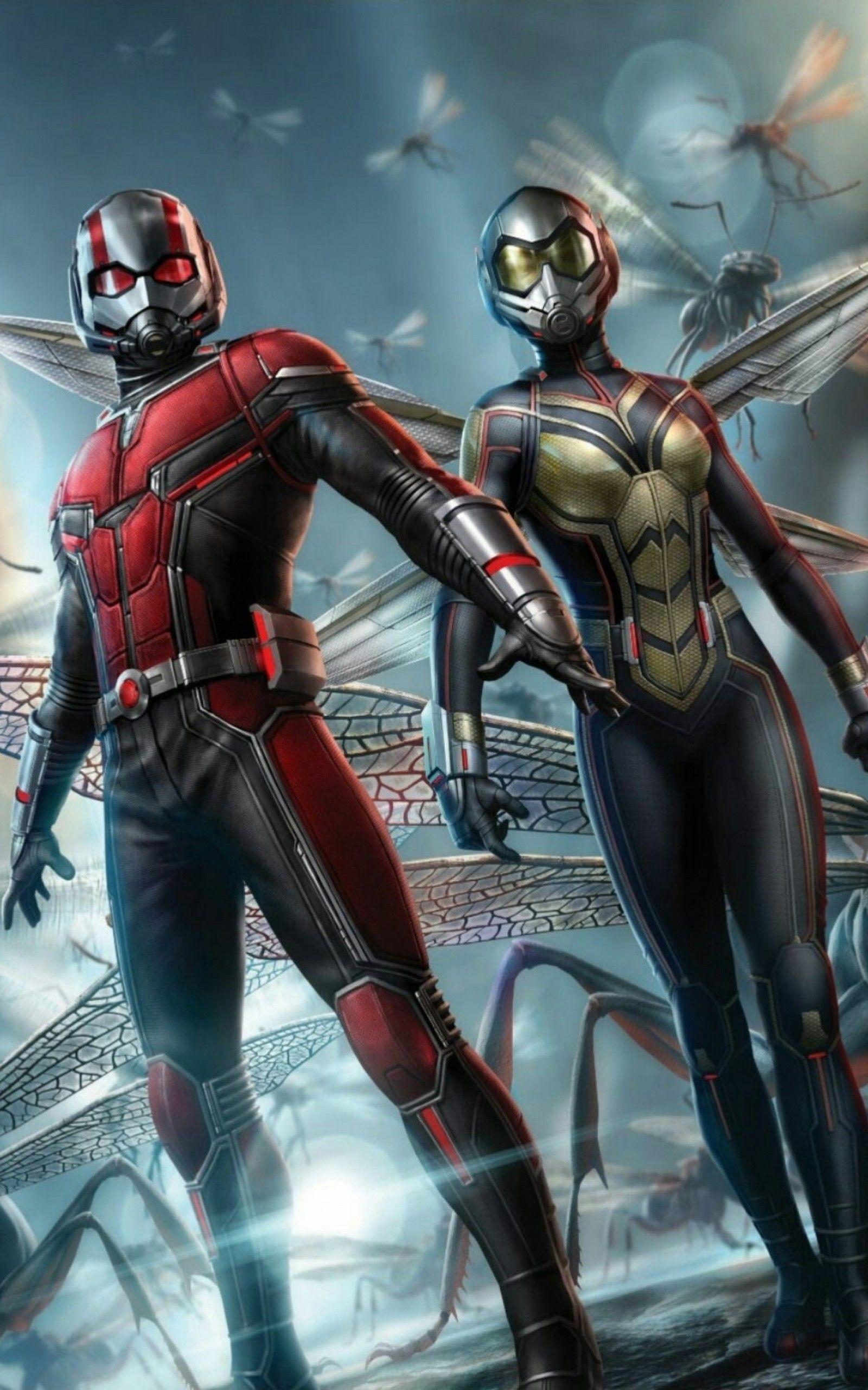 AntMan antman marvel superhero HD phone wallpaper  Peakpx