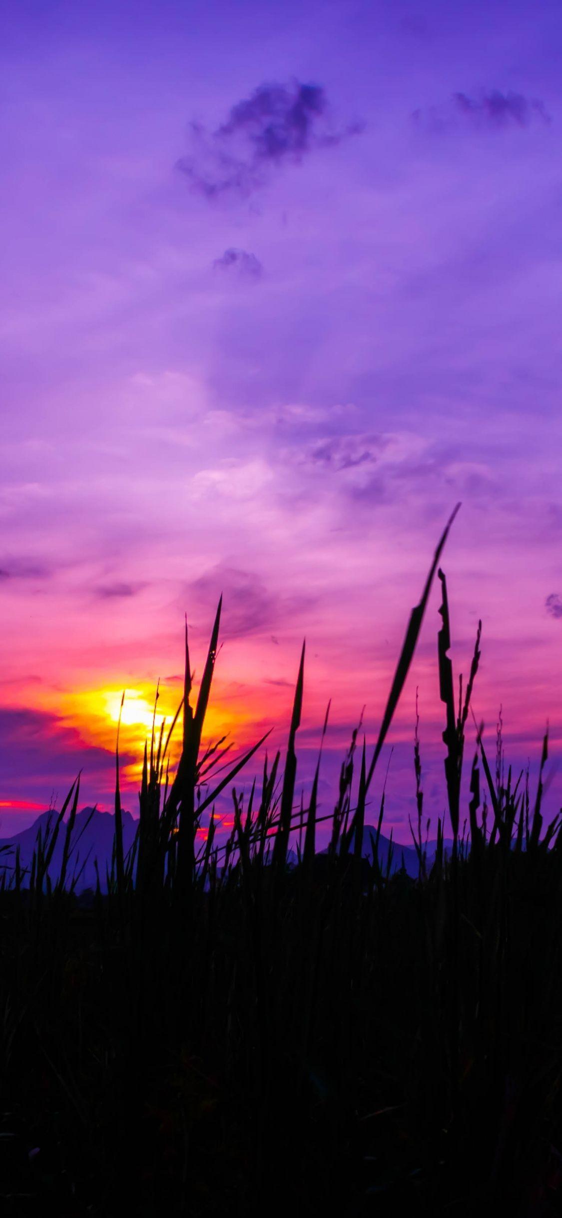 Purple Sky iPhone Wallpapers Top Free Purple Sky iPhone Backgrounds