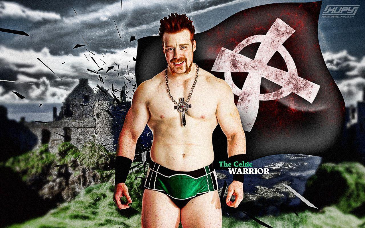 1280x800 The Celtic Warrior