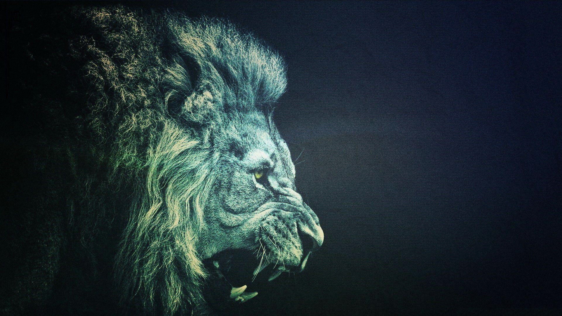 1920x1080 #minimalism, #animals, #lion, wallpaper. General