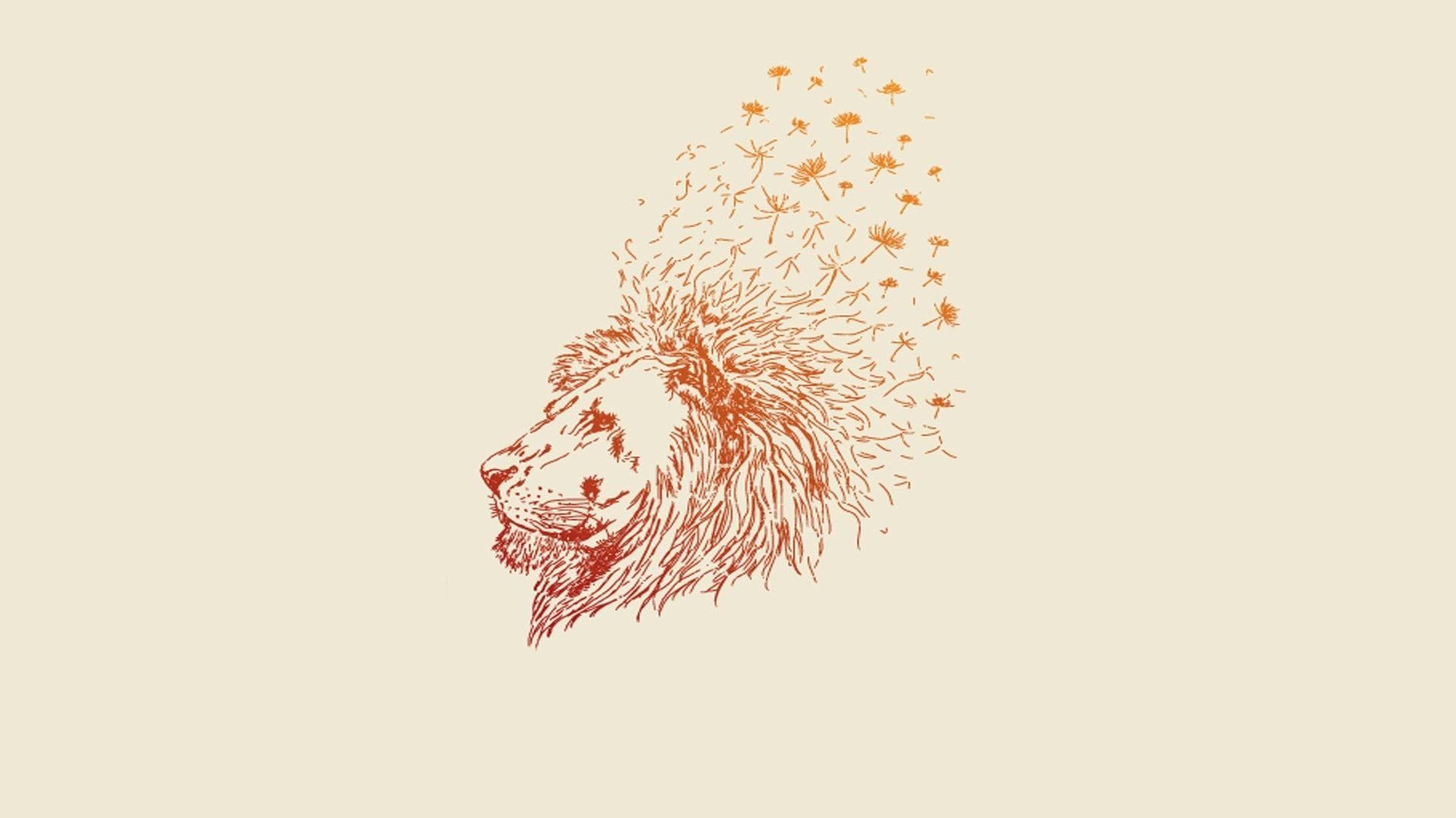 Minimalist Lion Wallpapers Top Free Minimalist Lion Backgrounds Wallpaperaccess