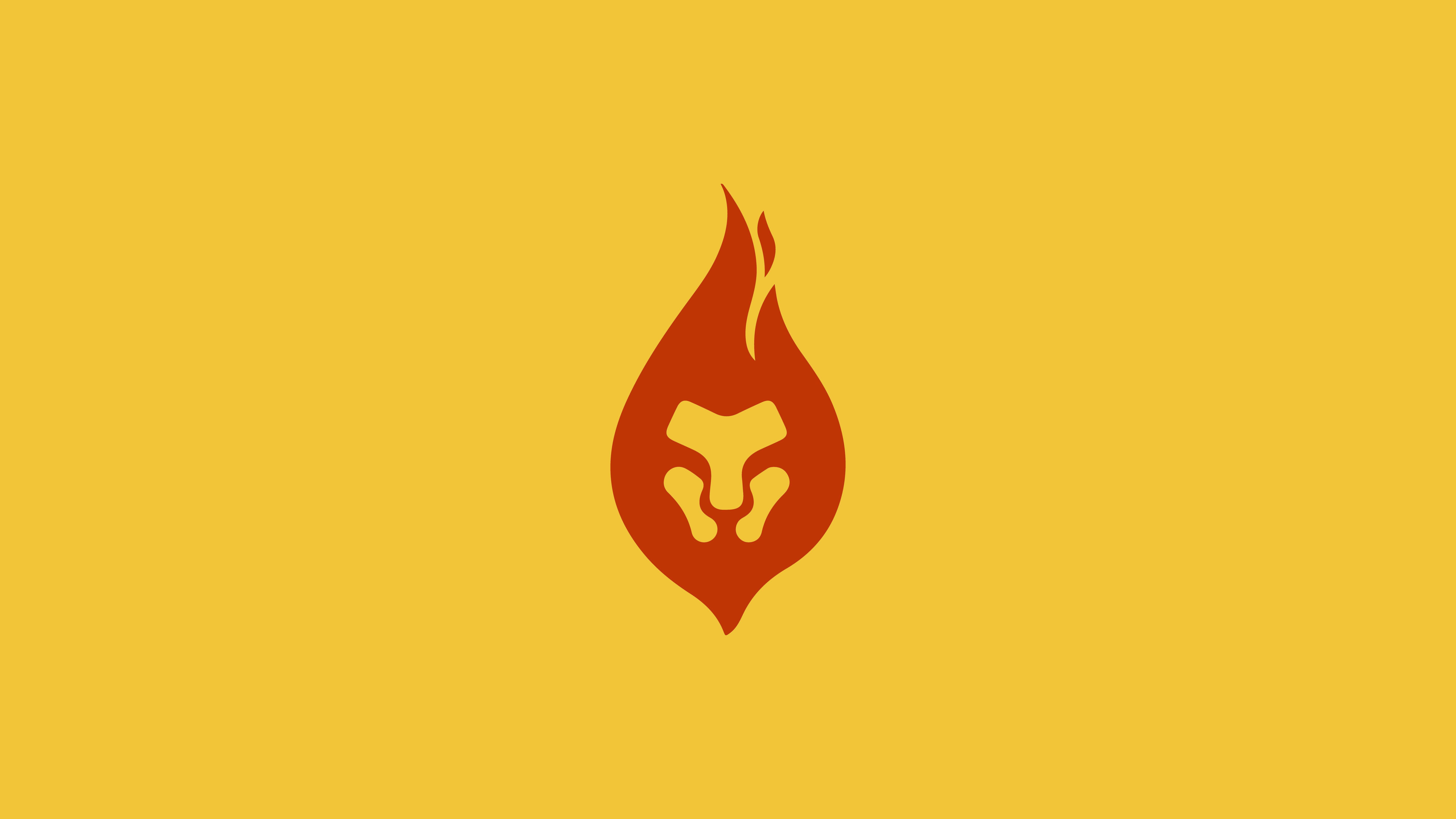 8000x4500 lion 4K wallpaper for your desktop or mobile screen free and easy